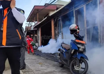 Kasus DBD di Tanjung Laut Indah Bontang Meningkat, Warga Diimbau Perketat Kebersihan Lingkungan