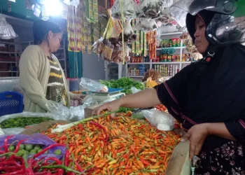 Harga Cabai Rawit di Bontang Belum Stabil, Sempat Tembus Rp220 Ribu Per Kg