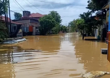 Luasan Banjir Bontang Awal 2026 Lebih dari 100 Hektare, Api-Api Terparah
