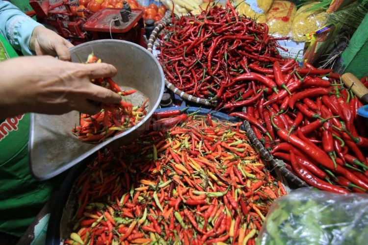 Sempat meroket hingga Rp 200 ribu per kg saat Lebaran 2026, harga cabai di Kaltim kini diklaim mulai turun seiring normalnya distribusi pasokan dari Jawa dan Sulawesi.