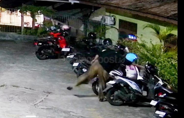 Tangkapan CCTV saat pelaku mengambil helm di salah satu lokasi di Bontang.