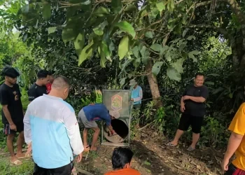 Beruang Madu Muncul di Kutim, BKSDA Pasang Kandang Jebak di Dekat Permukiman