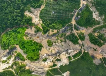 “Palu Godam” Prabowo di Hutan Kaltim