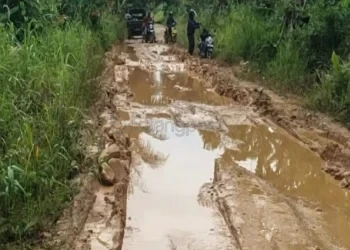 Jalan Sepanjang 16 Km di Muara Kaman Rusak Parah, Aktivitas Warga Lumpuh Saat Hujan
