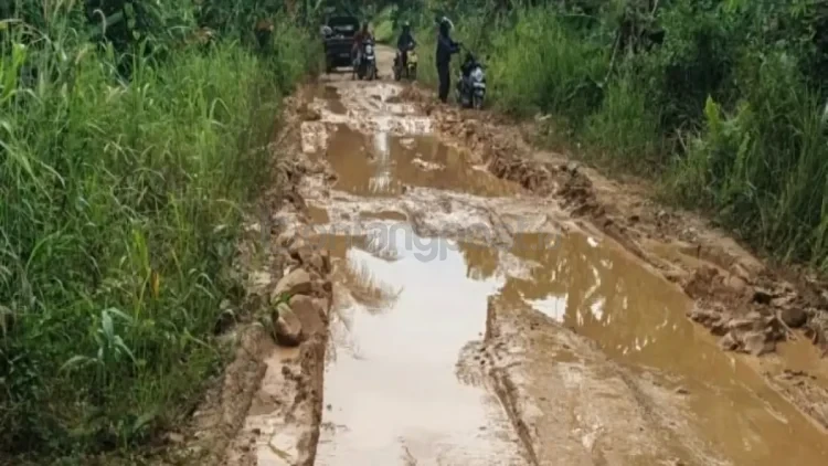Kondisi jalan di Kecamatan Muara Kaman yang rusak (Istimewa)