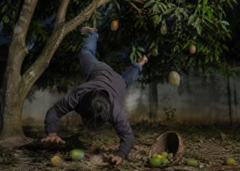 Pria yang Jatuh Saat Curi Mangga di Bontang Meninggal Dunia