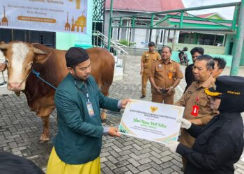 Sapi Kurban Presiden untuk Bontang Diserahkan ke Masjid Al-Hijrah, Daging Bakal Dibagikan ke 7 RT