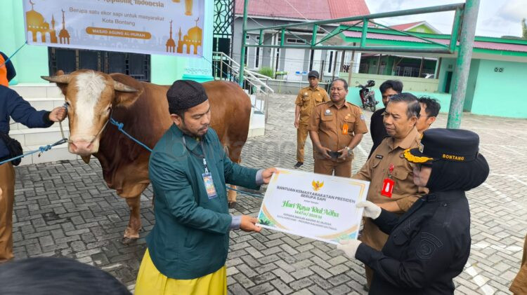 Wali Kota Bontang Neni Moerniaeni menyerahkan sapi kurban bantuan Presiden RI Prabowo Subianto kepada panitia Masjid Al-Hijrah, Selasa (26/5/2026). (Dwi Kurniawan Nugroho/Bontang Post)