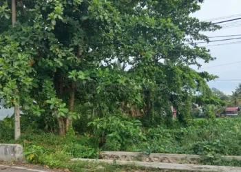 Proyek Polder Tanjung Laut Bontang Segera Dilelang, Pembangunan Ditarget Tuntas Desember 2026