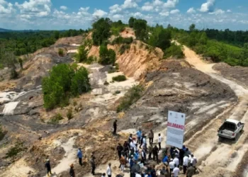4.236 Hektare Tambang Ilegal Kepung IKN, Smart Forest City Terancam