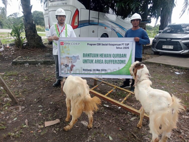 PT Energi Unggul Persada (EUP) menyalurkan 16 hewan kurban kepada masyarakat di wilayah sekitar perusahaan pada perayaan Iduladha 1447 Hijriah.