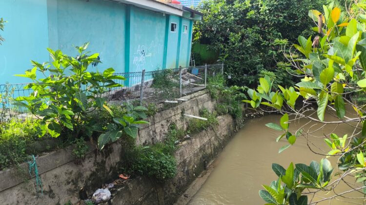 Kondisi bantaran sungai di RT 26 Kelurahan Api-Api yang belum diturap. Abrasi di lokasi tersebut mulai mengikis dinding sungai dan mengancam permukiman warga. (Nasrullah/Bontang Post)