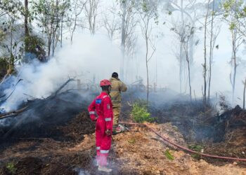 Kebakaran di HOP 7 Bontang Belum Padam, Api Hanguskan Lebih dari 8 Hektare Lahan