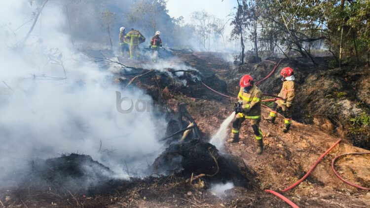 Petugas Disdamkartan Bontang bersama BPBD berjibaku memadamkan kebakaran lahan gambut di kawasan HOP 7, belakang asrama Polres Bontang, Minggu (28/6/2026).
ubah judul 
Berikut beberapa alternatif judul yang lebih kuat dan menarik:
Kebakaran Lahan Gambut 6 Hektare di HOP 7 Bontang Akhirnya Padam Setelah Empat Jam ⭐
Empat Jam Lawan Kobaran Api, Kebakaran Lahan HOP 7 Bontang Akhirnya Terkendali
Lahan Gambut 6 Hektare di HOP 7 Bontang Terbakar, Api Berhasil Dipadamkan Setelah Empat Jam
Empat Jam Berjibaku, Api di Lahan Gambut HOP 7 Bontang Berhasil Dilokalisasi
Kebakaran HOP 7 Bontang Hanguskan 6 Hektare Lahan, Api Akhirnya Berhasil Dipadamkan
Api Meluas di HOP 7 Bontang, Petugas Butuh Empat Jam Padamkan Kebakaran Lahan
Enam Hektare Lahan Terbakar di HOP 7 Bontang, Api Baru Padam Setelah Empat Jam
Kebakaran Lahan HOP 7 Bontang Berhasil Dipadamkan, Empat Hektare Gambut Terdampak Parah
Rekomendasi utama:
Kebakaran Lahan Gambut 6 Hektare di HOP 7 Bontang Akhirnya Padam Setelah Empat Jam
Judul ini lebih lugas, memuat unsur yang paling penting (lokasi, luas lahan, dan durasi pemadaman), serta lebih menarik untuk pembaca berita daring.