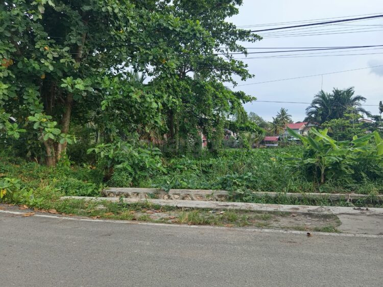 Lahan di Tanjung Laut yang akan menjadi lokasi pengembangan polder. Pemkot Bontang menganggarkan penyusunan DED untuk membuka peluang pendanaan pembangunan dari provinsi dan pemerintah pusat. (Dwi Kurniawan Nugroho/Bontang Post)