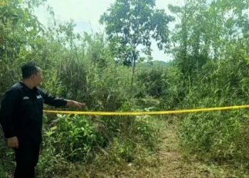 Bocah 7 Tahun yang Hilang di Sangatta Ditemukan Meninggal Dunia di Bukit Pelangi