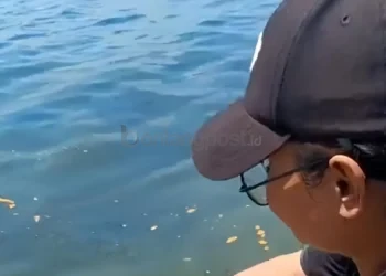 Warga Pulau Miang Kutim Laporkan Dugaan Pencemaran Laut di Sekitar Jeti CPO, Air Disebut Keruh dan Berminyak