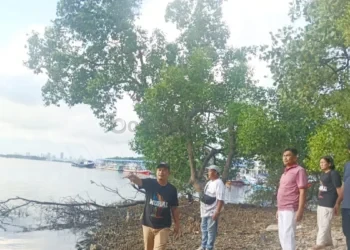 Gunung Elai Bontang Kembangkan Wisata Mangrove Ramah Lingkungan, Siapkan Gazebo hingga Area UMKM