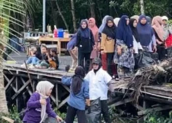 Dermaga Wisata Mangrove di Gunung Elai Bontang Segera Dibangun, Pengunjung Bisa Susur Hutan Bakau dengan Kapal
