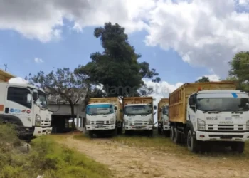Regulasi Berbenturan, 15 Ribu Pekerja Tambang di Lingkar IKN Terancam PHK Massal
