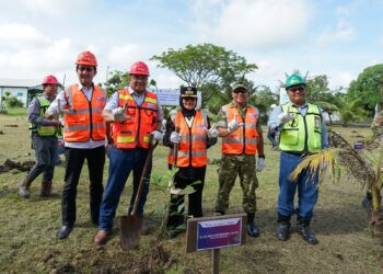 PT PAMA Ikut Pulihkan Ekosistem, Tanam Pohon dan Transplantasi Terumbu Karang Bersama PT IMM