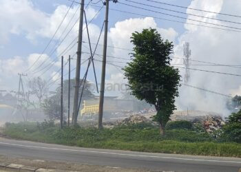Neni Perintahkan DLH dan Satpol PP Tertibkan TPS Ilegal Depan Hotel Grand Mutiara Bontang