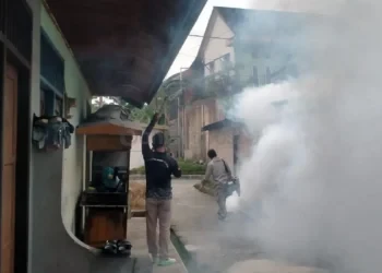 Dinkes Bontang Luncurkan Peta Digital DBD, Warga Kini Bisa Pantau Sebaran Kasus Per RT