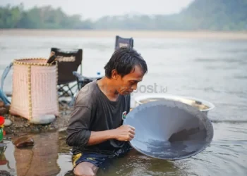Sungai Mahakam Surut, Warga Mahulu Mendulang Emas hingga Raup Rp3,7 Juta Sepekan