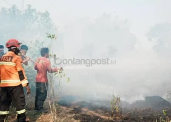 Dinkes Kaltim Catat Puluhan Ribu Kasus ISPA Akibat Karhutla