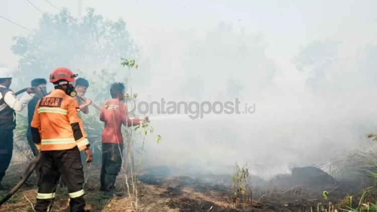 Paparan asap kebakaran hutan dan lahan (karhutla) serta cuaca panas memicu lonjakan Infeksi Saluran Pernapasan Akut (ISPA) sejak Januari hingga Agustus 2026. Kota Balikpapan mencatat angka tertinggi sebanyak 66.468 kasus, disusul Samarinda 48.230 kasus, dan Kutai Kartanegara 29.040 kasus, dengan kelompok anak-anak sebagai pihak yang paling rentan terdampak.