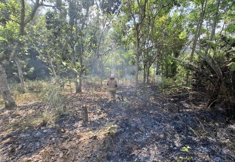 Petugas Regu 3 Pos Bontang Lestari Disdamkartan Bontang saat menangani kebakaran lahan di kawasan Teluk Kadere, Selasa (11/8/2026).
