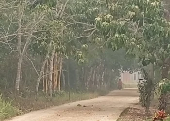 Kabut Asap Pekat Selimuti Kubar, Sekolah Terapkan Belajar dari Rumah
