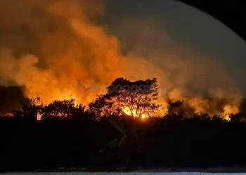 Ancaman 200 Titik Api, Pemprov Kaltim Ancam Cabut Izin Perusahaan yang Sengaja Bakar Lahan