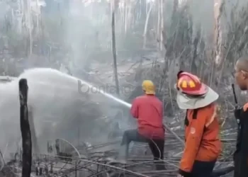Karhutla Kaltim Bikin Petugas Harus Keluar Uang Sendiri, Ada Apa?