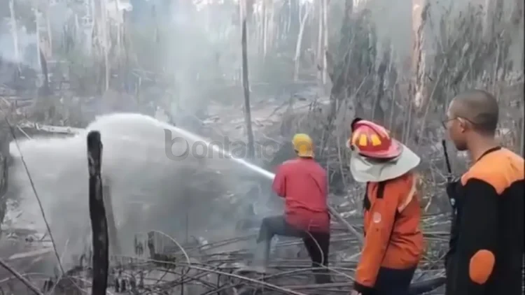 Petugas melakukan penanganan karhutla Kaltim di tengah keterbatasan anggaran. Sejumlah petugas disebut harus menggunakan uang pribadi terlebih dahulu untuk memenuhi kebutuhan selama berada di lapangan