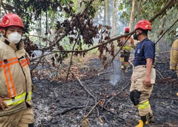 Dua Lahan Terbakar di Bontang, Disdamkartan Turun Padamkan Api hingga Malam