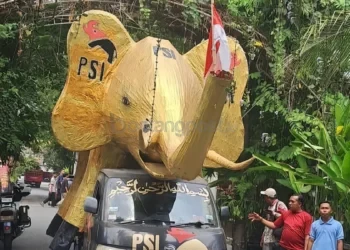 Patung Gajah PSI dari Kutim Dikirim untuk Jokowi, Biayanya Tembus Rp90 Juta