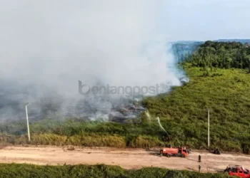 Bukan Cuma Karhutla, Warga Mulai Menjerit Krisis Air Bersih Akibat Kemarau