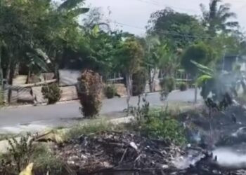 Satpol PP Bontang Tegur Warga yang Bakar Sampah, Sanksi Rp50 Juta Menanti