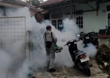 Gunung Telihan Bontang Catat Kasus DBD Tertinggi, Warga Diminta Tak Lengah