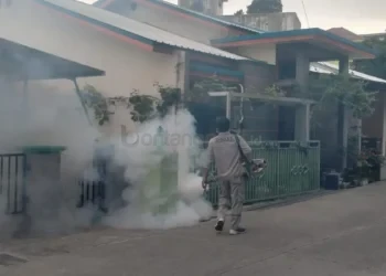 Gunung Telihan Catat Kasus DBD Terbanyak di Bontang, Warga Diminta Waspada