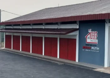 Gaji Manajer Kopdes Merah Putih Rp9,3 Juta, Agrinas Siapkan Pembayaran Mulai Akhir Oktober