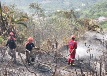 Kebakaran Lahan 3 Hektare di Jalan Pipa Kusnodo Bontang, 45 Personel Dikerahkan