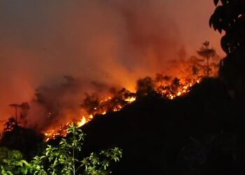 Kebakaran Lahan di Jalan Soekarno-Hatta Bontang Diperkirakan Capai Lima Hektare, Petugas Masih Berjibaku