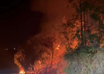 Api Sempat Menyeberang Jalan, Kebakaran Lahan Soekarno-Hatta Bontang Diduga Disengaja