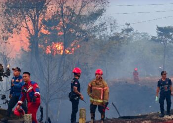 Diduga Sengaja Dibakar, Wali Kota Bontang Minta Polisi Usut Karhutla di Jalan Soekarno-Hatta
