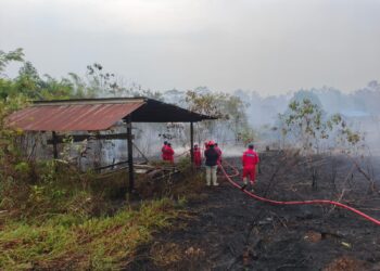 Tiga Hari Kebakaran Lahan di Bontang Tak Kunjung Reda, Petugas dan Relawan Mulai Kelelahan