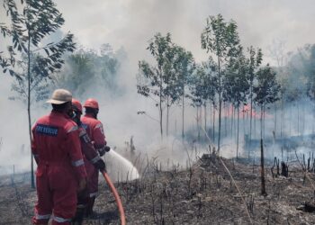 Kebakaran Berulang di Bontang Lestari, Petugas Waspadai Titik Api Susulan
