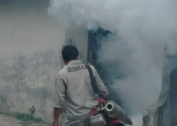 DBD Masih Mengintai di Bontang, Lima Kelurahan Catat Kasus Terbanyak